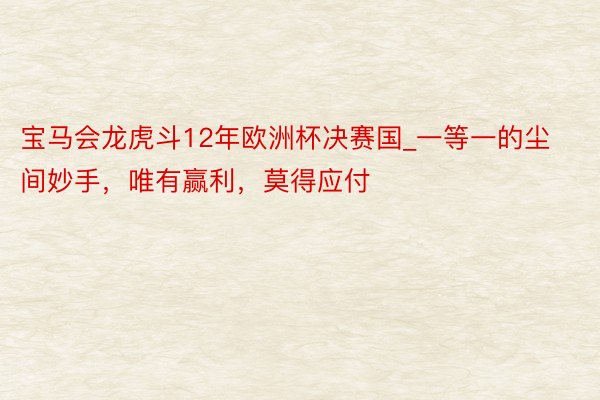 宝马会龙虎斗12年欧洲杯决赛国_一等一的尘间妙手，唯有赢利，莫得应付