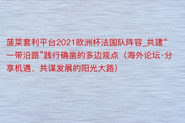 菠菜套利平台2021欧洲杯法国队阵容_共建“一带沿路”践行确凿的多边观点（海外论坛·分享机遇、共谋发展的阳光大路）
