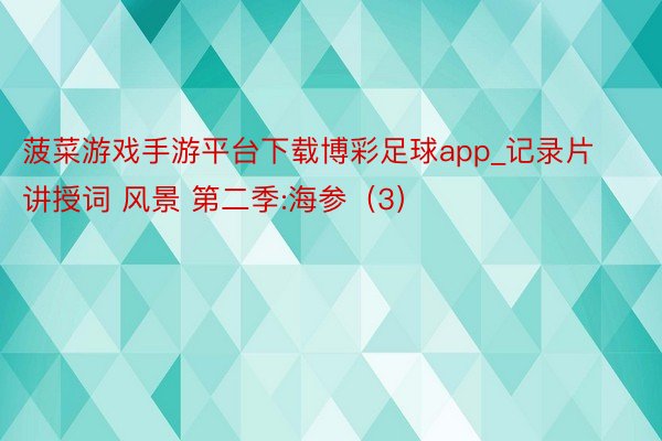菠菜游戏手游平台下载博彩足球app_记录片讲授词 风景 第二季:海参（3）