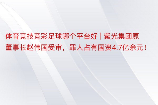 体育竞技竞彩足球哪个平台好 | 紫光集团原董事长赵伟国受审，罪人占有国资4.7亿余元！